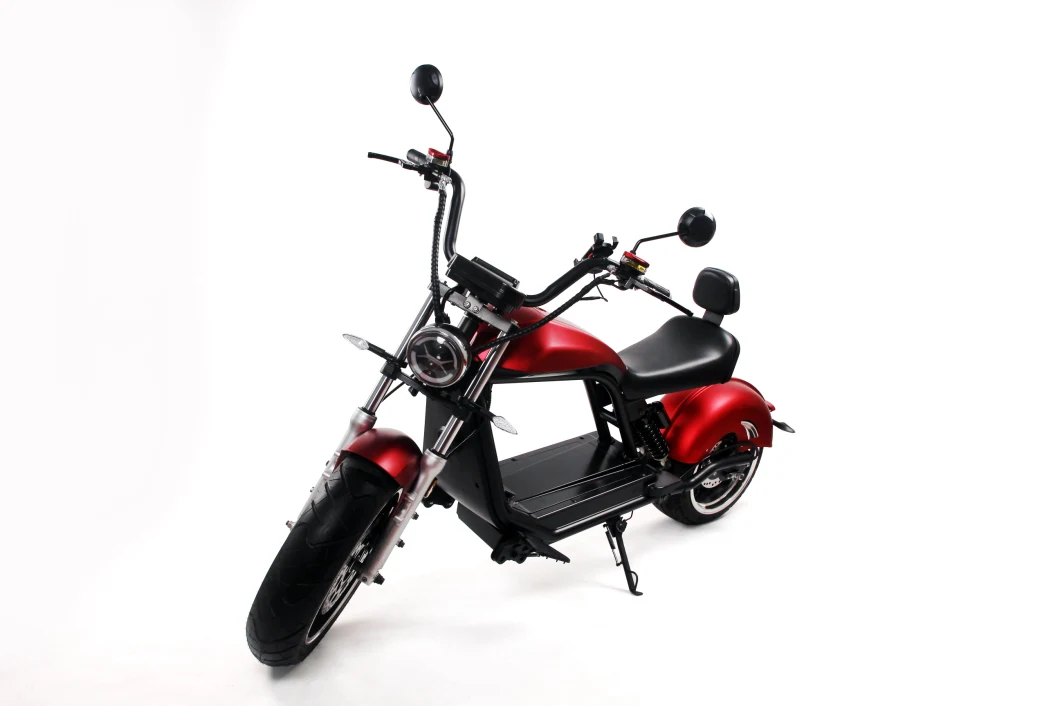 Smart Electric Motorcycle 2 Wheel Citycoco Scooter for Adults