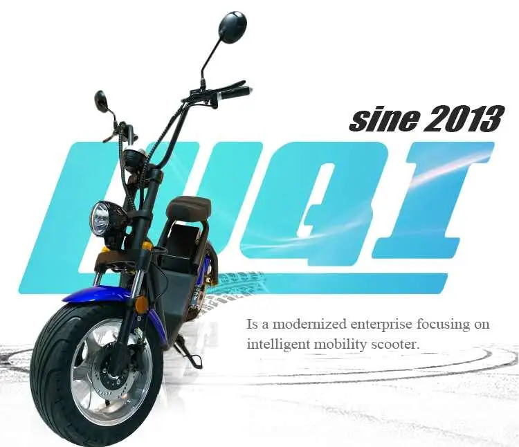 Smart Electric Motorcycle 2 Wheel Citycoco Scooter for Adults